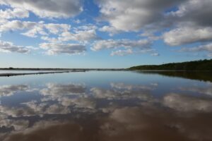 Humedales colocan a San Crisanto como referente mundial