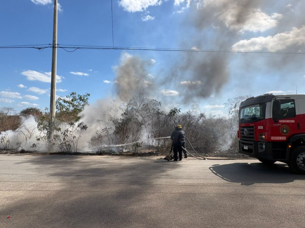 Ayuntamiento llama a proteger Cuxtal