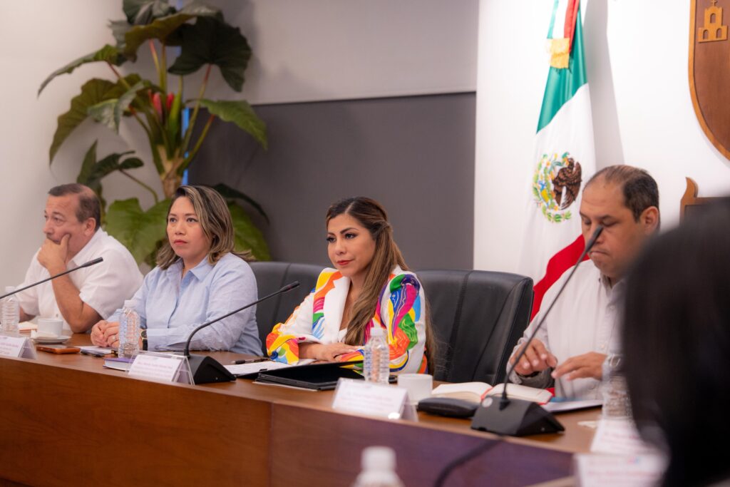 Mesa interinstitucional mejora protección infantil en Yucatán