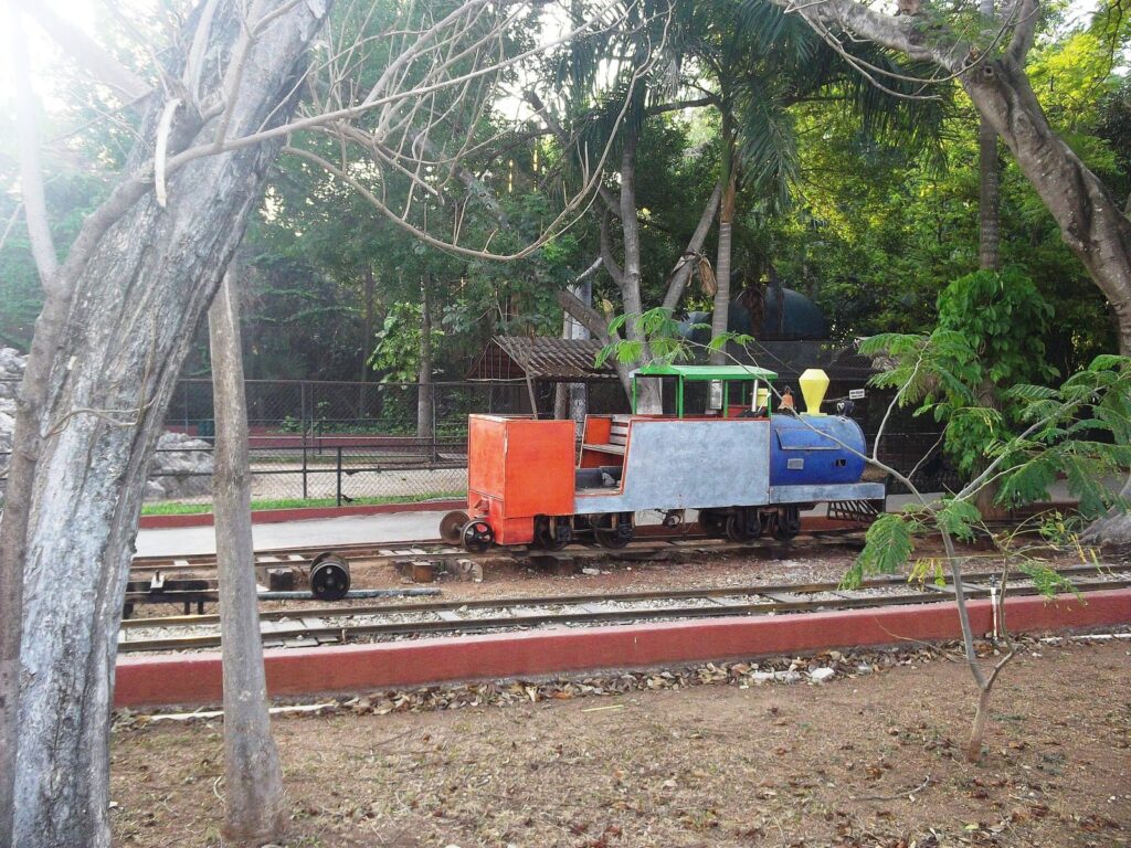 Atención oportuna tras accidente en el trenecito del Parque Zoológico El Centenario