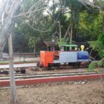 Atención oportuna tras accidente en el trenecito del Parque Zoológico El Centenario