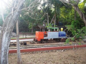 Atención oportuna tras accidente en el trenecito del Parque Zoológico El Centenario