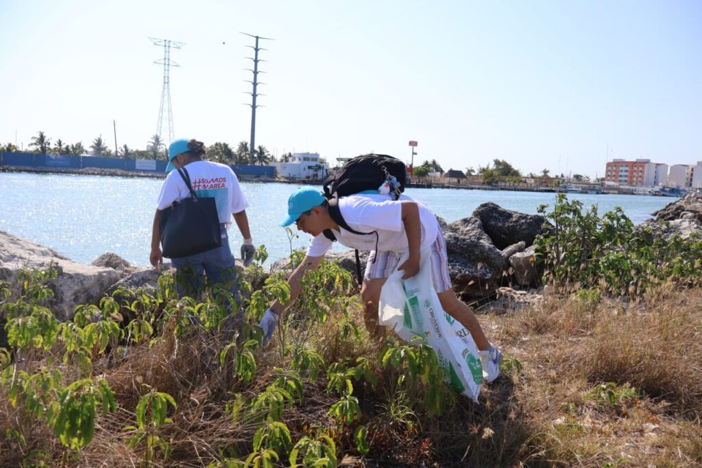 SDS fortalece conciencia ambiental en playas de Progreso