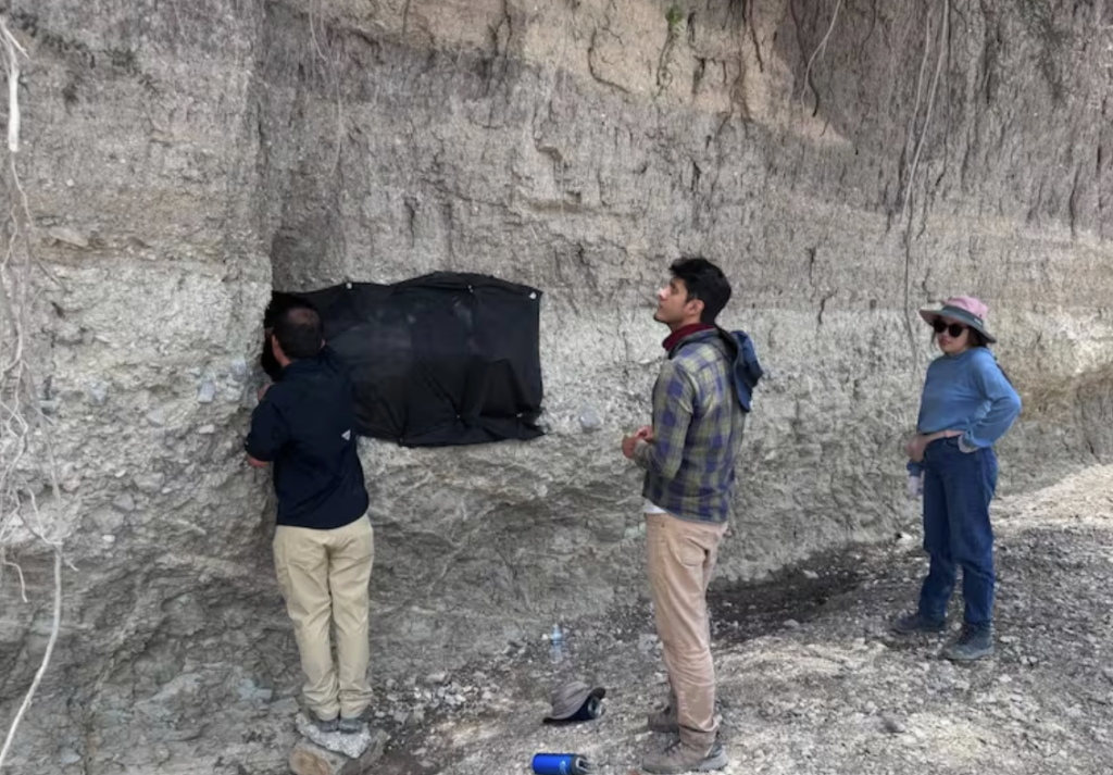 Investigan posible hallazgo de mamut en San Luis Potosí