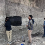 Investigan posible hallazgo de mamut en San Luis Potosí