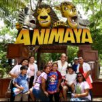 Animaya se llena de color en su aniversario