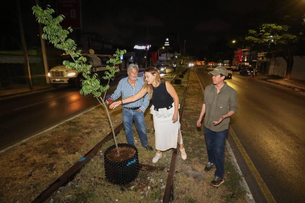 Mérida estrena árboles Air Pot con Cecilia Patrón