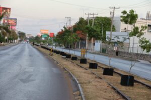 Cecilia Patrón acelera plan verde en Mérida