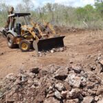 Profepa combate desmonte ilegal en reserva ecológica