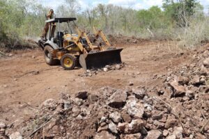 Profepa combate desmonte ilegal en reserva ecológica