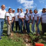 Mérida sembrará 50 especies durante Cruzada Forestal