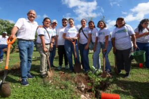 Mérida sembrará 50 especies durante Cruzada Forestal