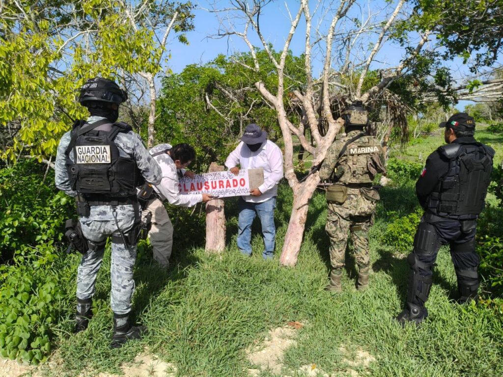 Profepa actúa contra desarrollos irregulares