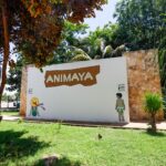 Animaya recibe a familias durante las vacaciones