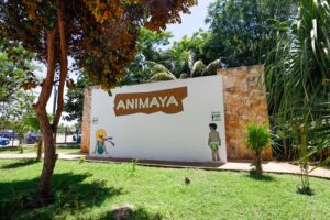Animaya recibe a familias durante las vacaciones