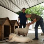UMABA acompaña proceso para devolver perros a su dueño