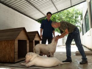 UMABA acompaña proceso para devolver perros a su dueño