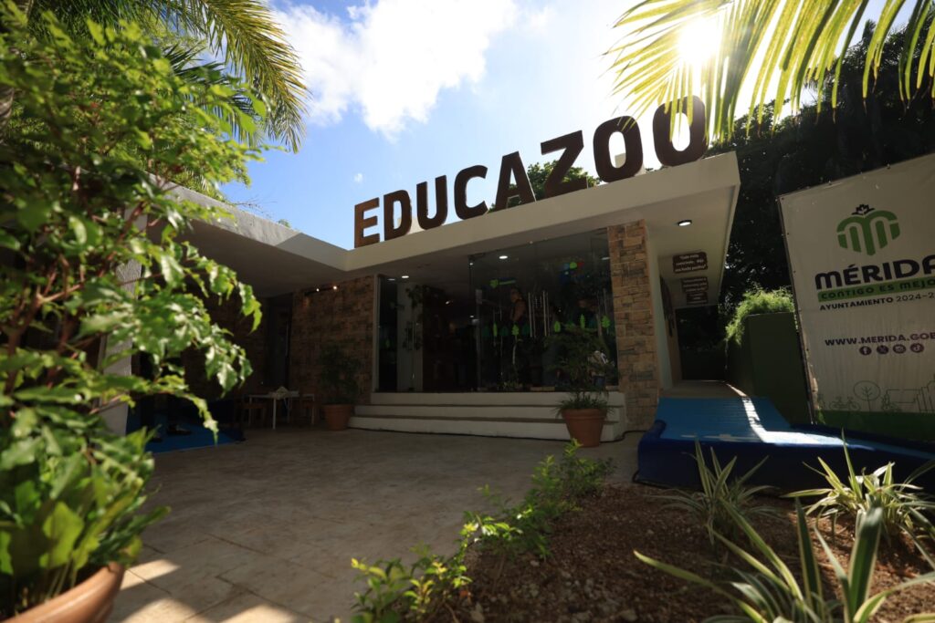 Cecilia Patrón transforma Educazoo para enseñar a cuidar