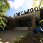 Cecilia Patrón transforma Educazoo para enseñar a cuidar