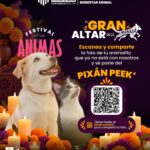 Pixán Peek convierte recuerdos de mascotas en homenaje
