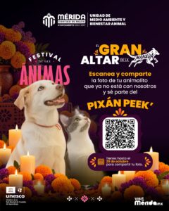 Pixán Peek convierte recuerdos de mascotas en homenaje