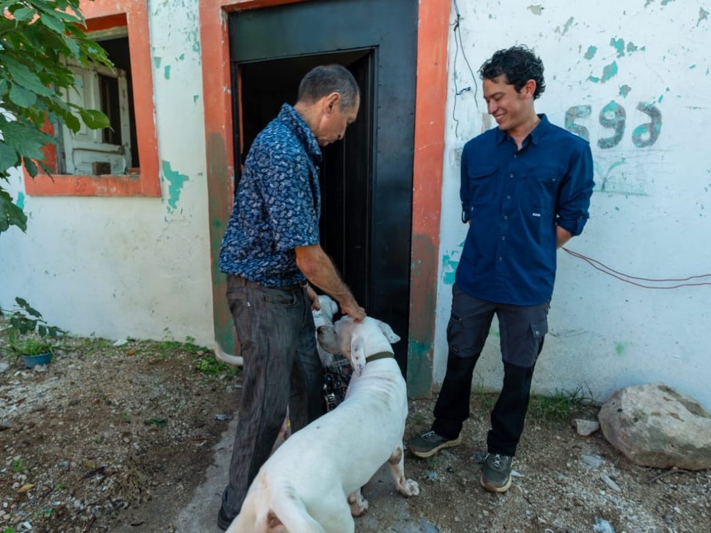 Mérida resuelve devolución de perros tras evaluar su bienestar