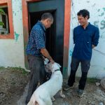 Mérida resuelve devolución de perros tras evaluar su bienestar