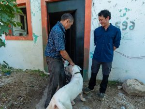 Mérida resuelve devolución de perros tras evaluar su bienestar